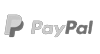 Pay Pal logo